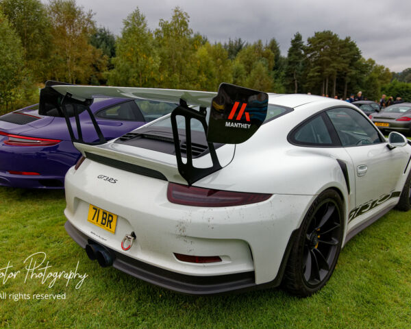 Porsche in the Park