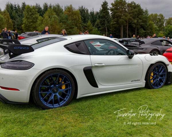 Porsche in the Park