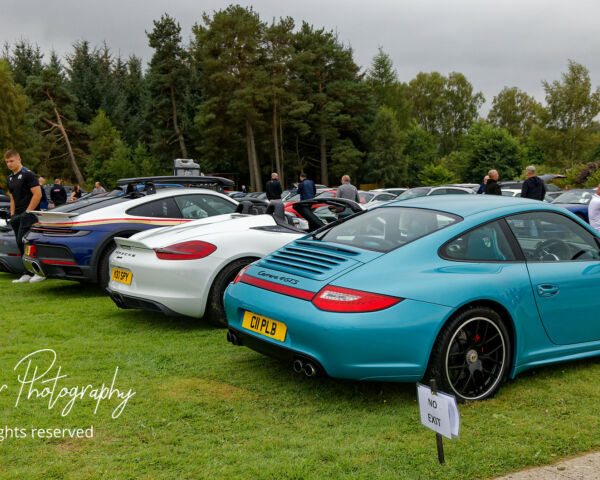 Porsche in the Park