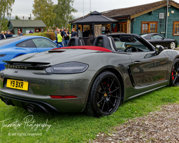 Porsche in the Park