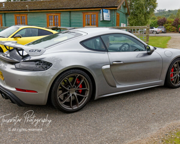 Porsche in the Park