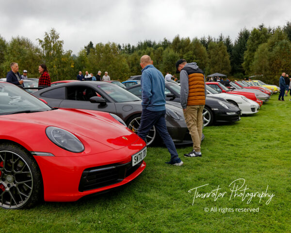 Porsche in the Park