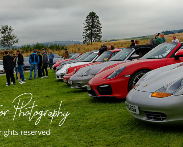 Porsche in the Park